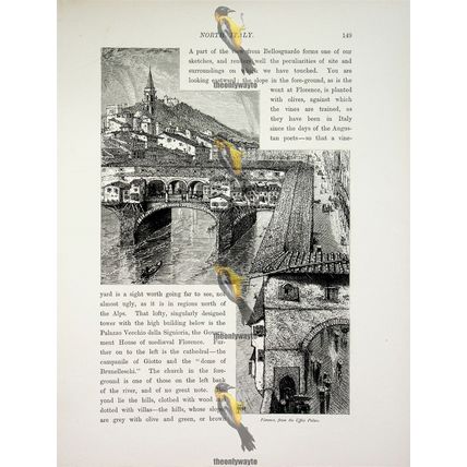 Florence From Uffizi Palace, North Italy, Book Illustration (Print), c1875