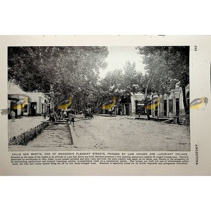 Mendoza, Calle San Martin, Argentina, Book Illustration (Print), c1920