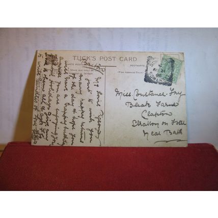 PEACHES used Birthday antique postcard by Raphael Tuck art series 1905 pm =
