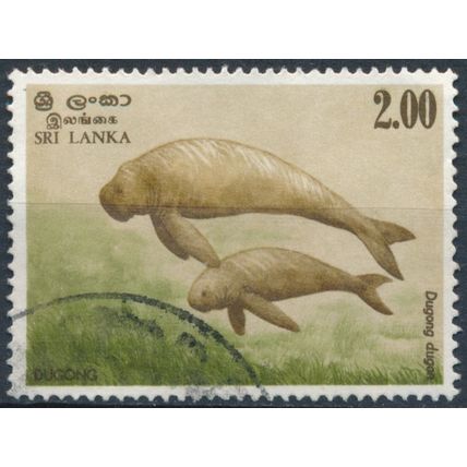 Marine Mammals: 2r - Sri Lanka 1983 - F H - SG 793 (C)