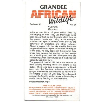 PLAYER'S GRANDEE CIGAR CARD AFRICAN WILDLIFE 1990 EXCELLENT No. 24 VULTURE