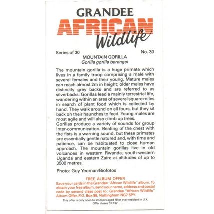 PLAYER'S GRANDEE CIGAR CARD AFRICAN WILDLIFE 1990 EXC. No.30 MOUNTAIN GORILLA