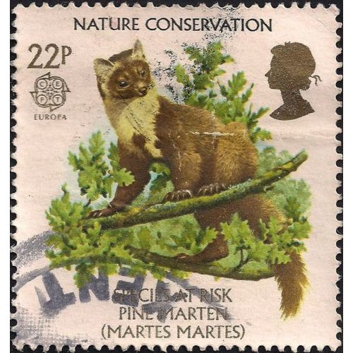 GB, MAMMALS, Pine Marten, green 1986, 22p