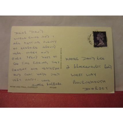 DONKEYS, 'PETER & PAUL', CLOVELLY, DEVON used postcard =