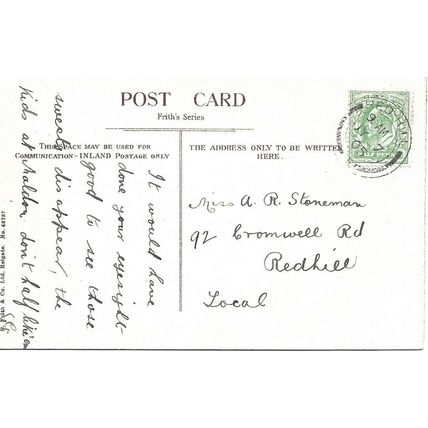 The Park - TAUNTON - Somerset - 1905 Postcard (00230)
