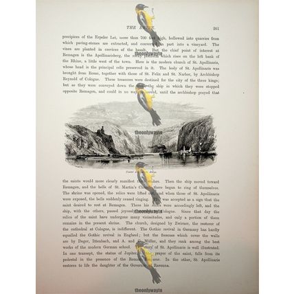 Timber Raft On The Rhine, Germany, Book Illustration (Print), c1875