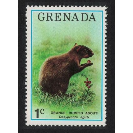 Grenada Brazilian agouti Animal Fauna 1976 MNH SG#762