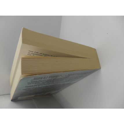 Broken Angels: Altered Carbon book 2 by Richard Morgan PB