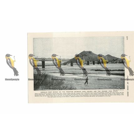 Norval's Pont Bridge, South Africa, Book Illustration, c1920