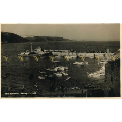 Harbour, Tenby, Wales, 15377 RP J Salmon Postcard
