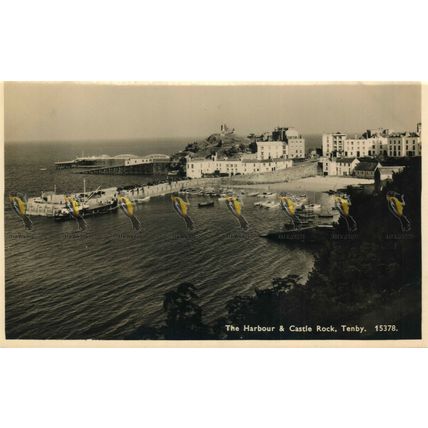 Harbour & Castle Rock, Tenby, Wales, 15378 RP J Salmon Postcard