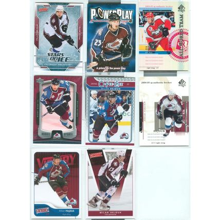 Milan Hejduk 13x card lot incl Inserts