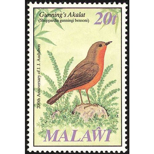 Malawi 1985 Audubon 20t East Coast Akalat Mint Unmounted SG 735 Sc472 stamp bird