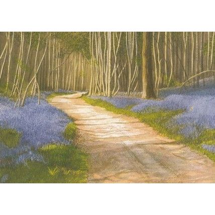 Scathes Wood Ightam Kent Painting Postcard