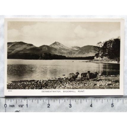 old postcard Derwentwater, Broomhill Point