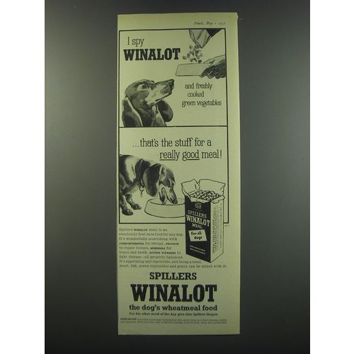 1957 Spillers Winalot Dog Food Ad - I spy Winalot and freshly cooked