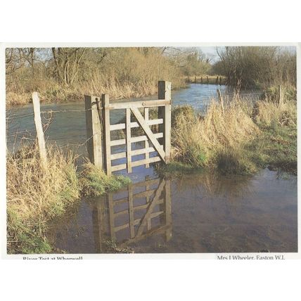 River Test At Wherwell Rare Hampshire Postcard