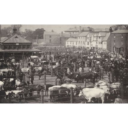 Gloucester Green Cattle Market Auctions Real Photo Postcard