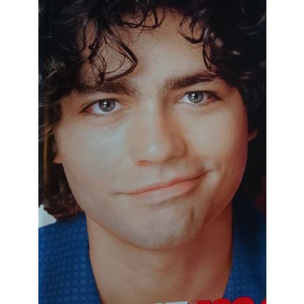 DRIVE ME CRAZY - MOVIE BANNER WITH MELISSA JOAN HART AND ADRIAN GRENIER-VINYL