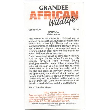PLAYER'S GRANDEE CIGAR CARD AFRICAN WILDLIFE 1990 EXCELLENT No. 4 CARACAL