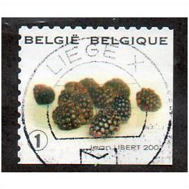 BEL 2007 (52c)(S/A) 'FRUIT- BLACKBERRIES' FINE USED (EBID10430)