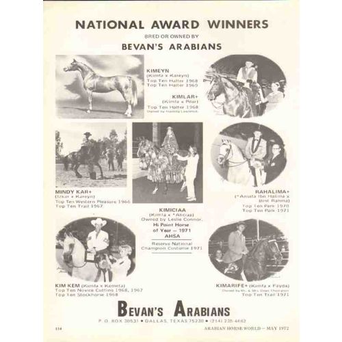 bevans arabians 1972 kimeyn kimlar kimiciaa equestrian stud vintage ad