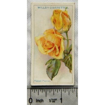1926 Wills Roses No. 30 Mabel Morse