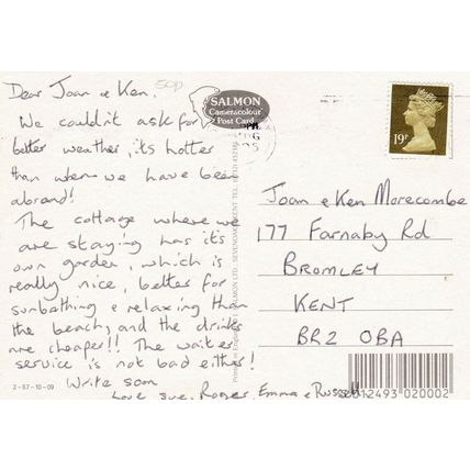 New Forest Wildlife Postcard 1995 used VGC