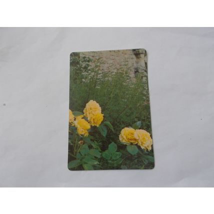 WEBBS GARDENING CARD / MODERN SHRUB ROSES (1) (21/06)