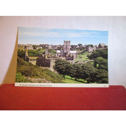 ST. DAVID'S CATHEDRAL & BISHOPS PALACE WALES unused postcard by Robert O Evans =