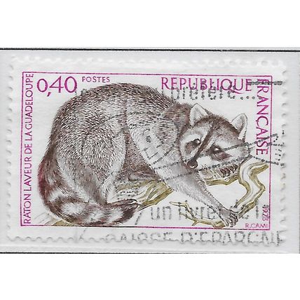 FRANCE 1973 USED NATURE PROTECTION MAMMAL RACCOON GUADELOUPE RACOON