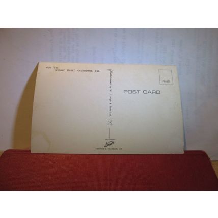 WINKLE STREET, CALBOURNE, ISLE OF WIGHT unused postcard by Plastichrome/nigh =