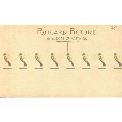 North British Hotel, Edinburgh, 9605 Judges Postcard