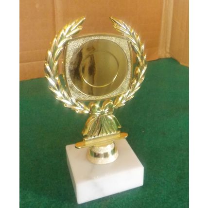 Darts Trophy - Not Engraved
