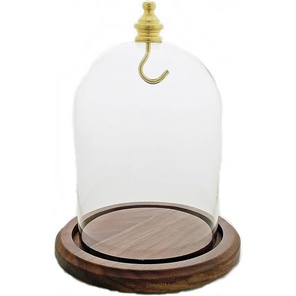 3"X4" Pocket Watch Glass Display Dome Cloche Real Walnut Wood Base & Gold Brass
