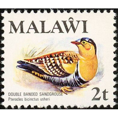 Malawi QEII 1975 2t Double Band Sandgrouse Mounted Mint SG 474 Sc 234 stamp bird