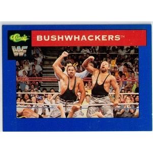 WWF ' CLASSIC ' card # 15 BUSHWACKERS (1991)