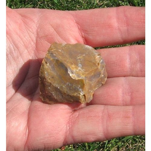 B Petrified Wood Raw Stone 1/5 Inch Metaphysical Meditation Energy Work