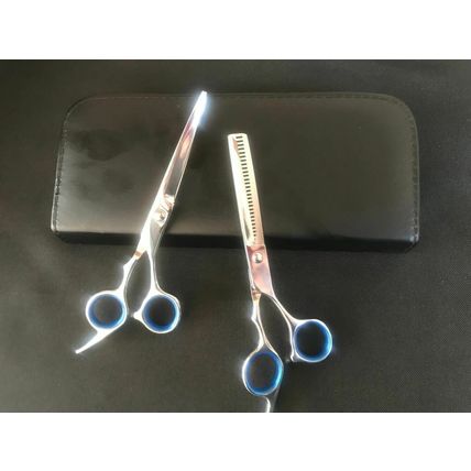 2PCS Professional Hairdressing Scissors Set Barber Hair Cutting Thinning+Bag UK