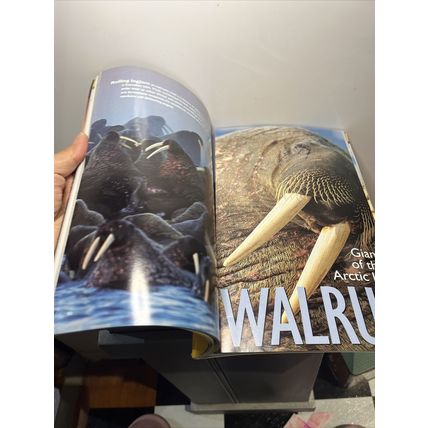 National Geographic Magazine September 2001 How Old is it? - Vintage Collectable