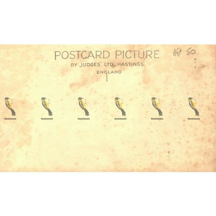 Choir Norwich Cathedral, Norfolk, 4996 Judges Postcard
