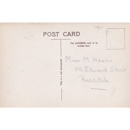 E174 CAT POSTCARD - A PERSIAN BEAUTY
