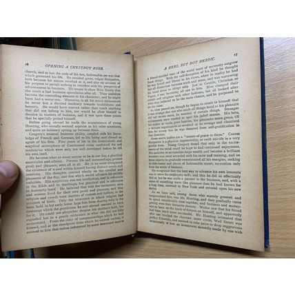 ANTIQUE E P ROE "THE OPENING OF A CHESTNUT BURR" FICTION BOOK (P3)