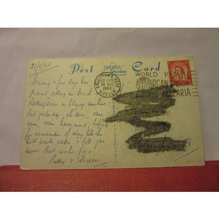 THE SUNKEN GARDENS, BRIGHTON, used postcard D H Greaves 1962 pm =