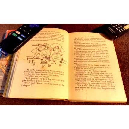 The Bobbsey Twins At Snow Lodge 1960 By Laura Lee Hope Great Shape