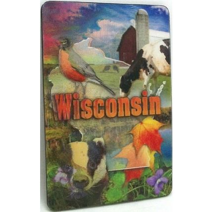 Wisconsin 3D Fridge Magnet