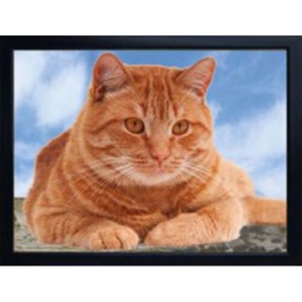 CAT FRIDGE MAGNETS BLACK, BLACK & WHITE, GINGER OR TABBY CAT 3D & hand finished