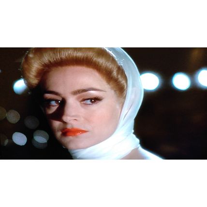 FATAL INSTINCT DVD stars ARMAND ASSANTE SHERILYN FEN KATE NEILLIGAN SEAN YOUNG