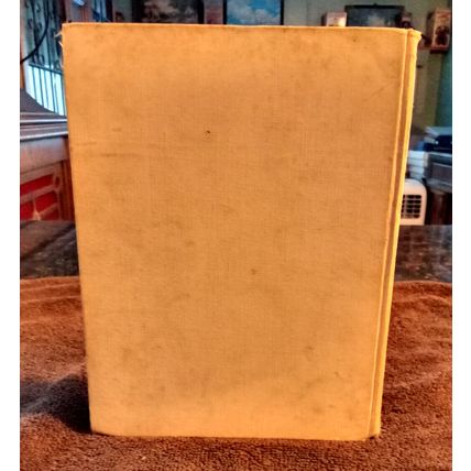 How A Dear Little Couple Went Aboard By Mary D. Brine 1903 Great Condition