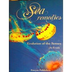 Marine Invertebrates Sea Remedies And Evolution Of The Senses